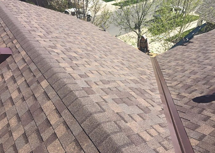Roof 3